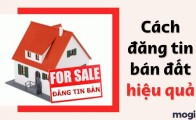 Hướng Dẫn Viết Tin Đăng Bất Động Sản Chuẩn Seo Giúp Tăng Tỷ Lệ Khách Gọi Khi Bán Đất Nền Tại Văn Giang