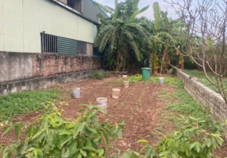 Mua Bán Đất Thổ Cư Văn Giang Hưng Yên – Góc Nhìn Tổng Quan Khu Vực Đầu Tư