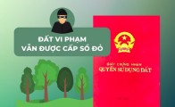 Cấp lại sổ đỏ bị rách, mờ thông tin: giải pháp pháp lý bắt buộc để bảo toàn giá trị đất đai