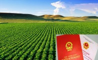 Đất nông nghiệp có lên thổ cư được không? Chìa khóa mở biên lợi nhuận tại Văn Giang