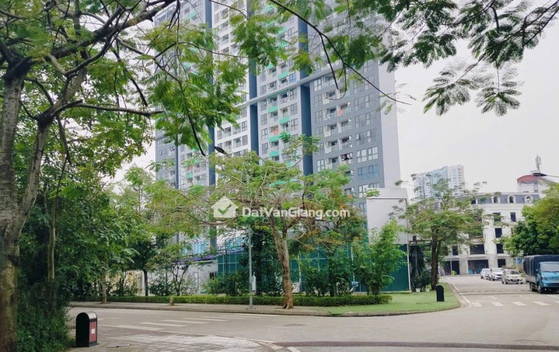 Bán Đất Văn Giang Lô 132,36m2 Khu Đô Thị Dagonbark Phụng Công Đường 8m Giá 8xtr/m2