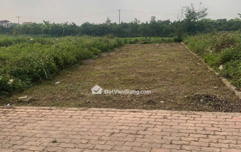 Đất Đấu Giá Văn Giang Vĩnh Khúc 100,5m2 Trục 8m Gần Vinhomes Ocean Park 2 Và Vành Đai 4