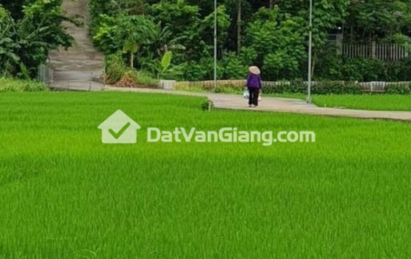 Đất Nông Nghiệp 903m2 Đặng Đỉnh Đặng Lễ Ân Thi Hưng Yên Giá 280 Triệu 1 Sào Bắc Bộ