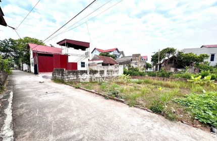 Bán Đất Văn Giang Lô 60m2 Mặt Tiền Hơn 7m Tại Bá Khê Liên Nghĩa Gần Đường 377 Và Vành Đai 4