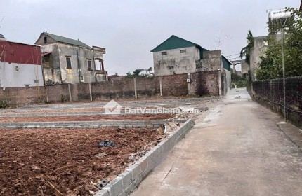 Chưa Đến 4 Tỷ Lô Gần 100m² Cách 1 Nhà Ra Trục Chính Đan Kim – Sát PVF, Bách Khoa CS2