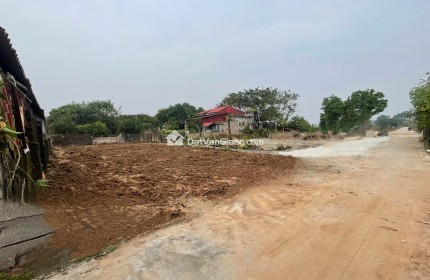 Bán Đất Thổ Cư 131m2 Mặt Tiền 10m tại Đông Tảo Khoái Châu Cạnh VĐ4 Đường thông 3m Giá 4xtr/m2